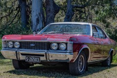 125233237_Tamborines1stCarShow-49icsPhotography