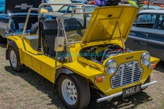 125260424_Tamborines1stCarShow-49icsPhotography