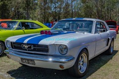 125376471_Tamborines1stCarShow-49icsPhotography