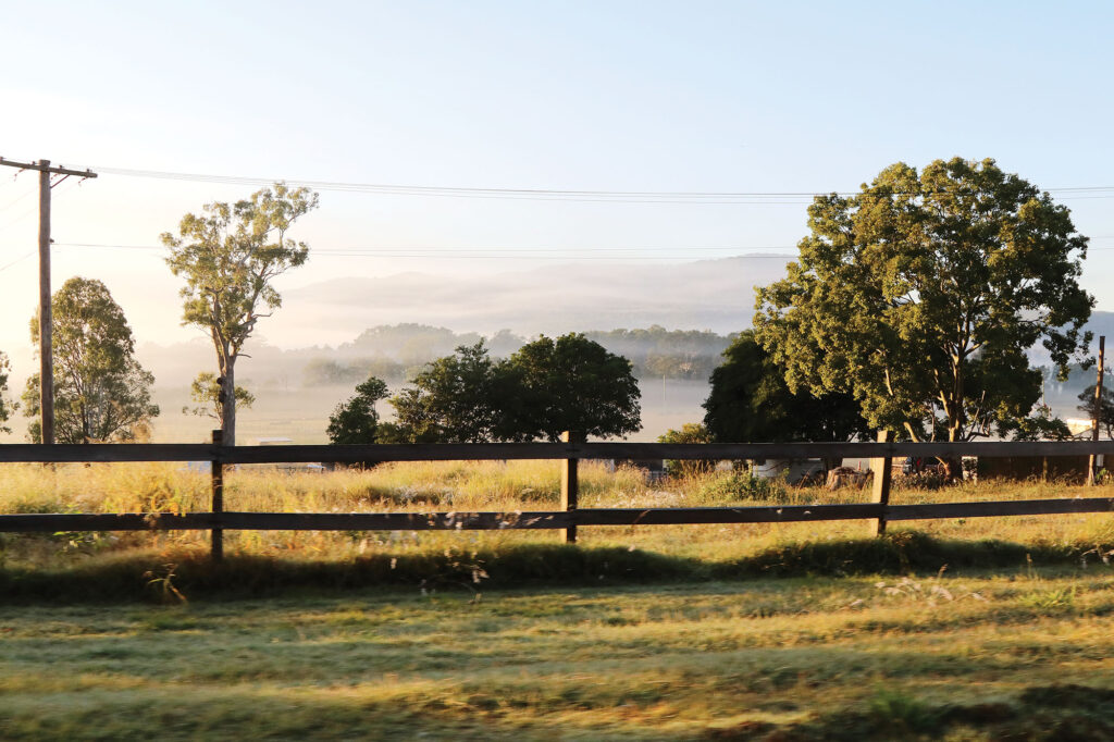 Early Morning Tamborine