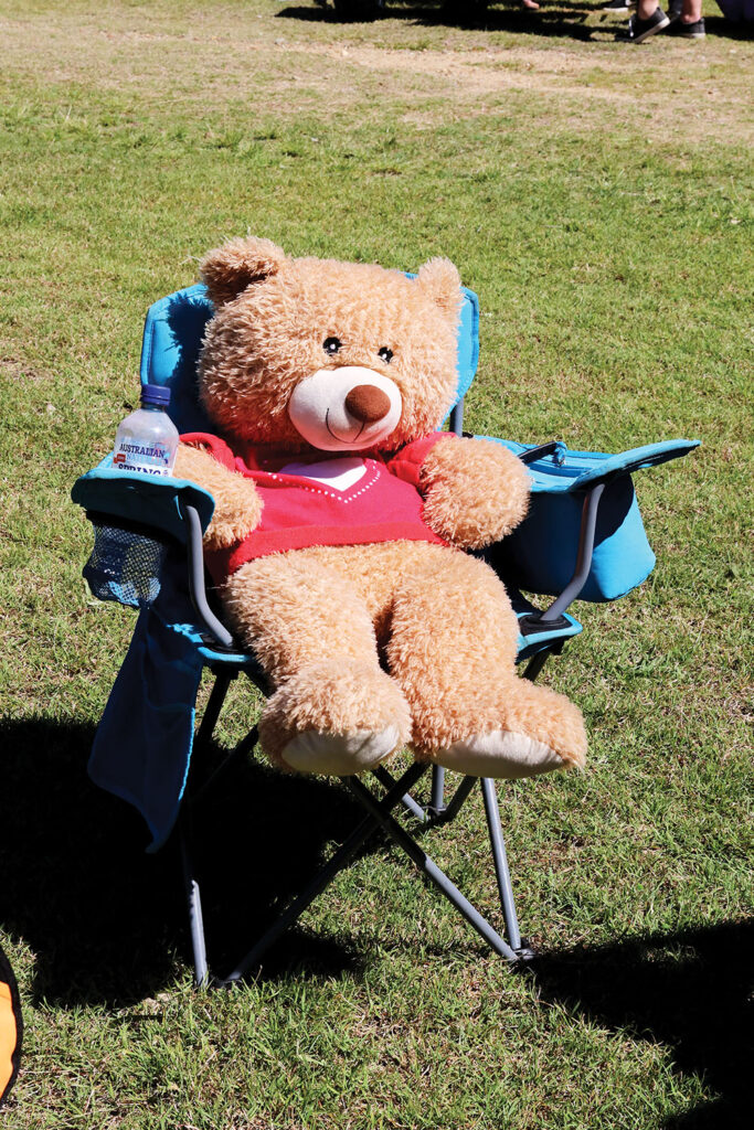 Teddy Bears Picnic