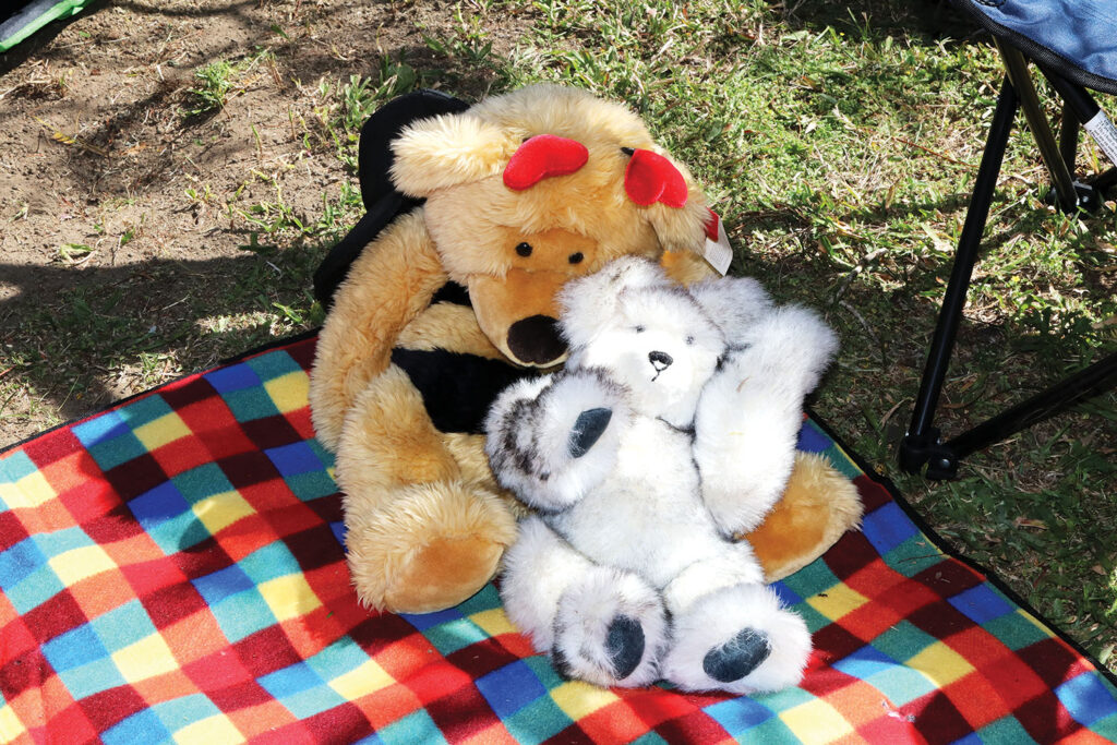 Teddy Bears Picnic