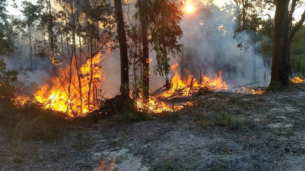 Hazard Reduction Burn Exercise