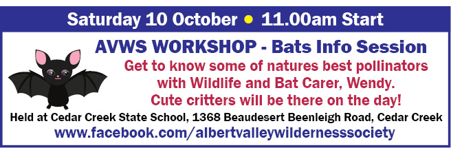 AVWS WORKSHOP - Bats Info Session