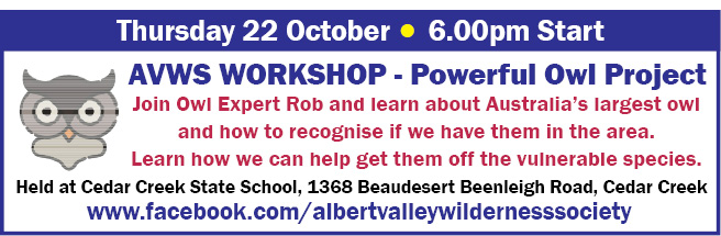 AVWS- Powerful Owl Project - 22 Oct