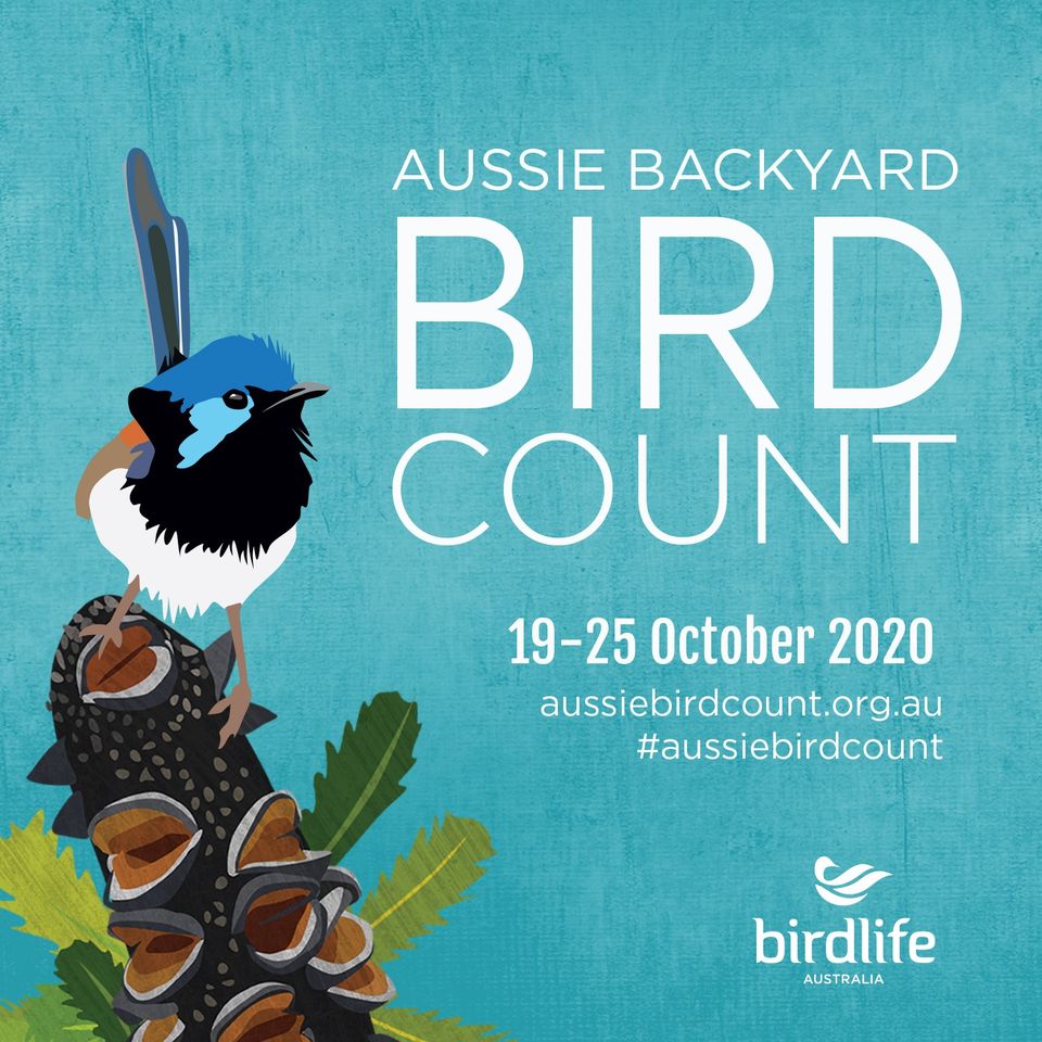 2020 Aussie Backyard Bird Count 