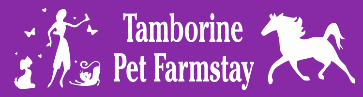 Tamborine Pet Farmstay