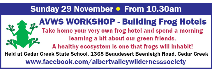 AVWS- Building Frog Hotels -29Nov