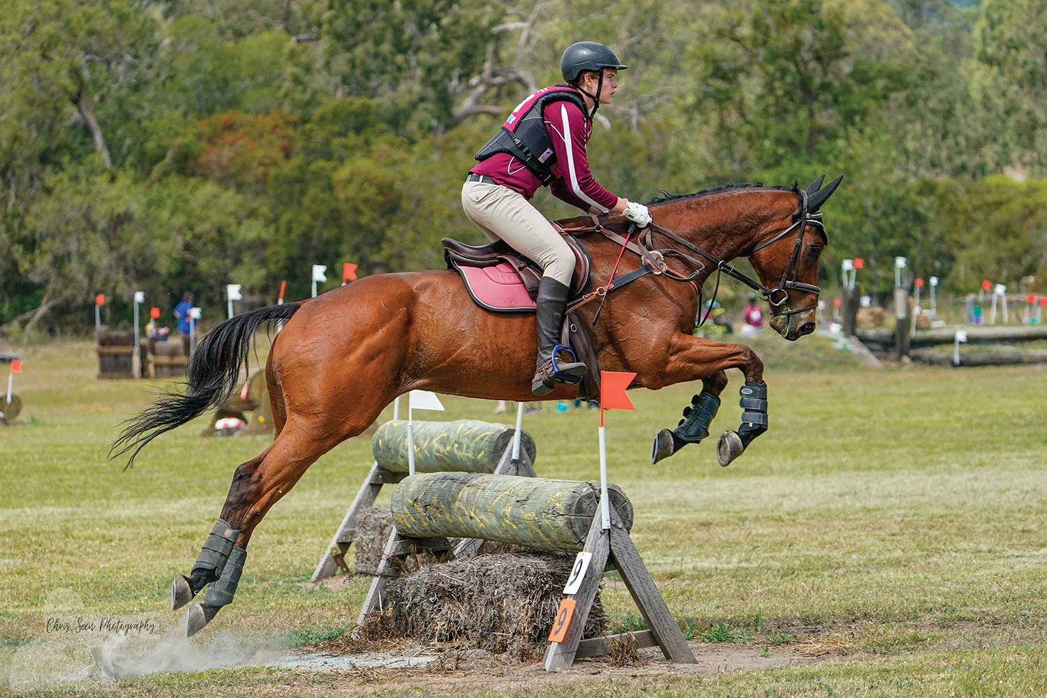 Pony Club One Day Event Tamborine Bulletin