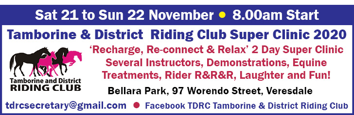 Tamborine & District Riding Club Super Clinic 2020