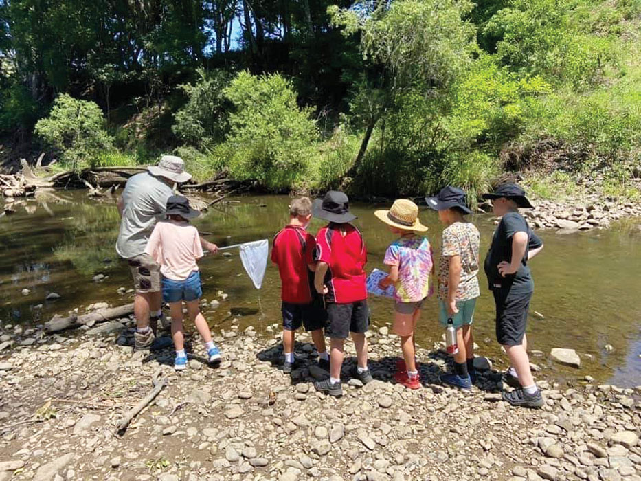 Cedar Creek State School Eco Festival