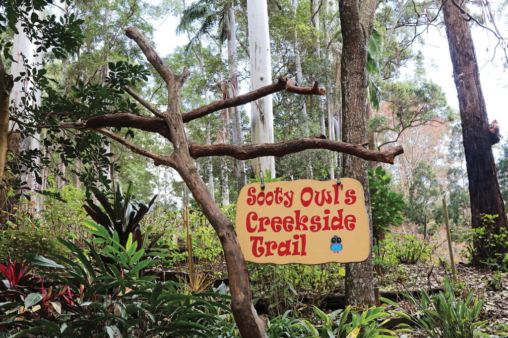 Sooty Owl's Creekside Trail 