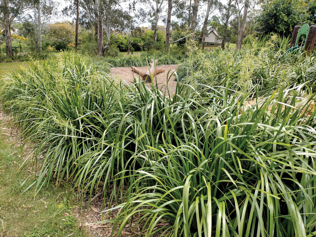 Playground at Lions Park, Tamborine Mt