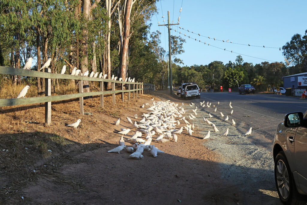 Along Leach Road