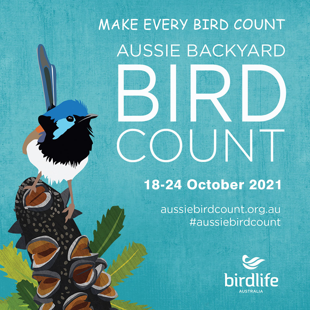 Aussie Backyard Bird Count