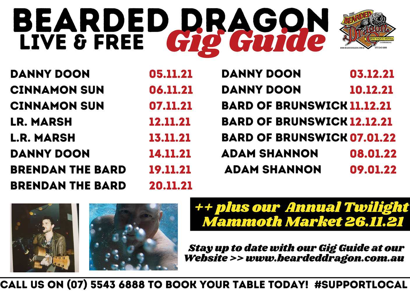 Bearded Dragon Gig Guide November
