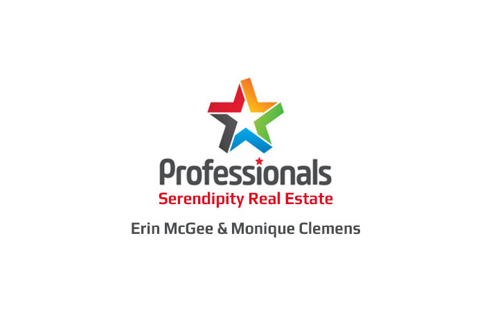 Professionals Serendipity - Erin McGee & Monique Clemens