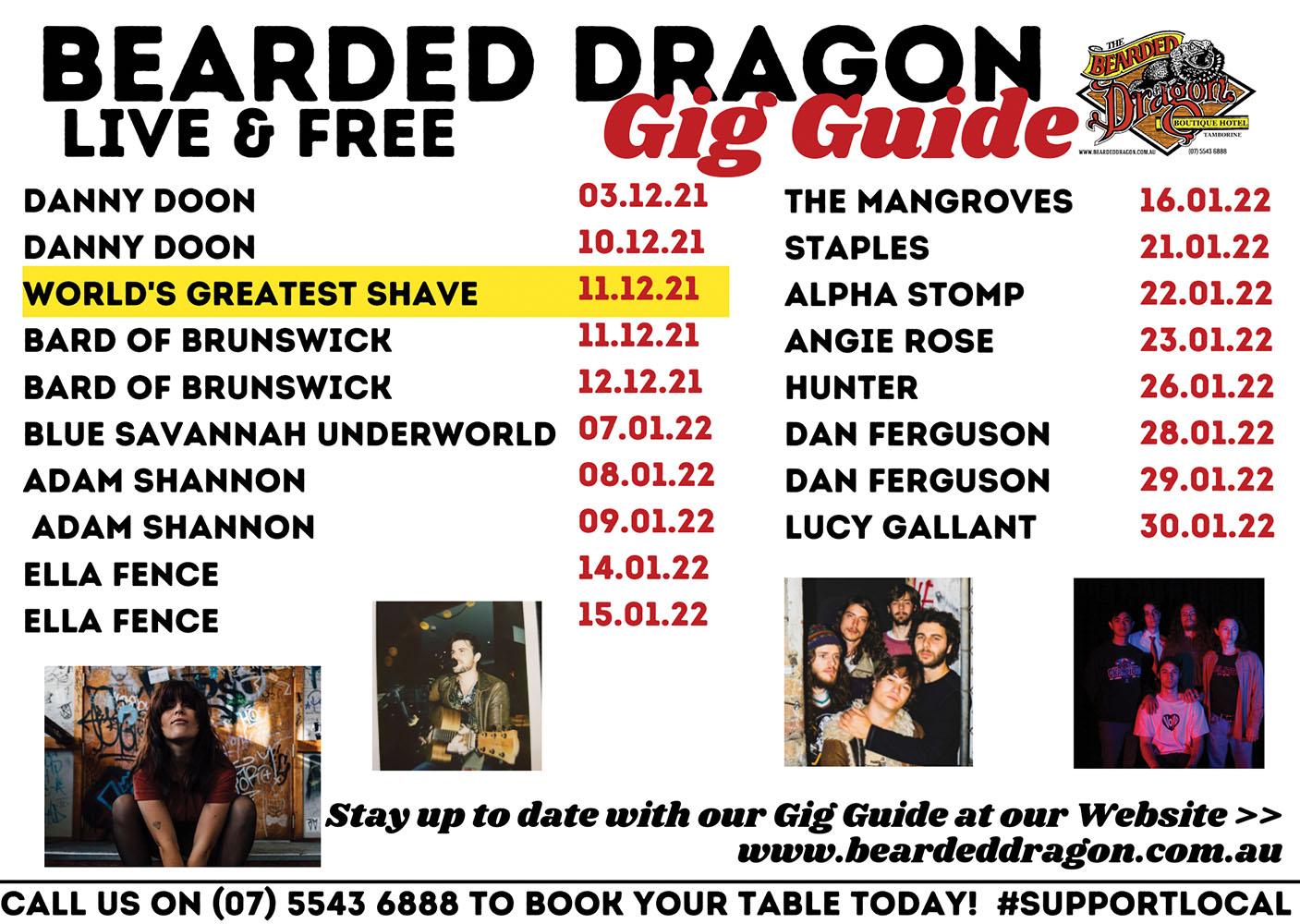 Bearded Dragon Gig Guide December