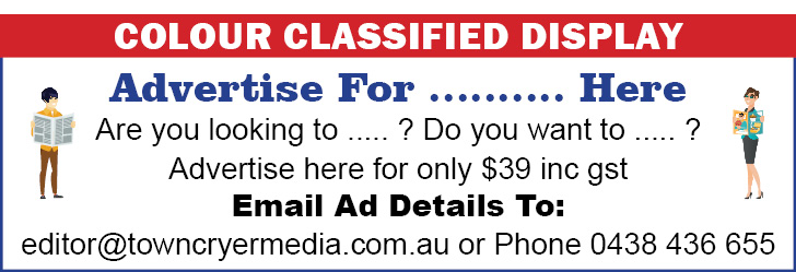TCM-ColourClassifiedAd-Size-2022
