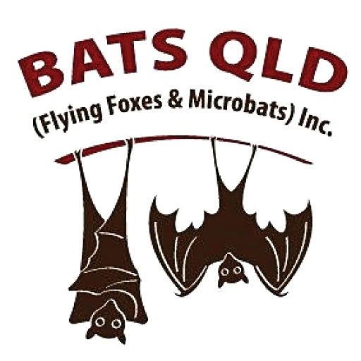Bats Qld