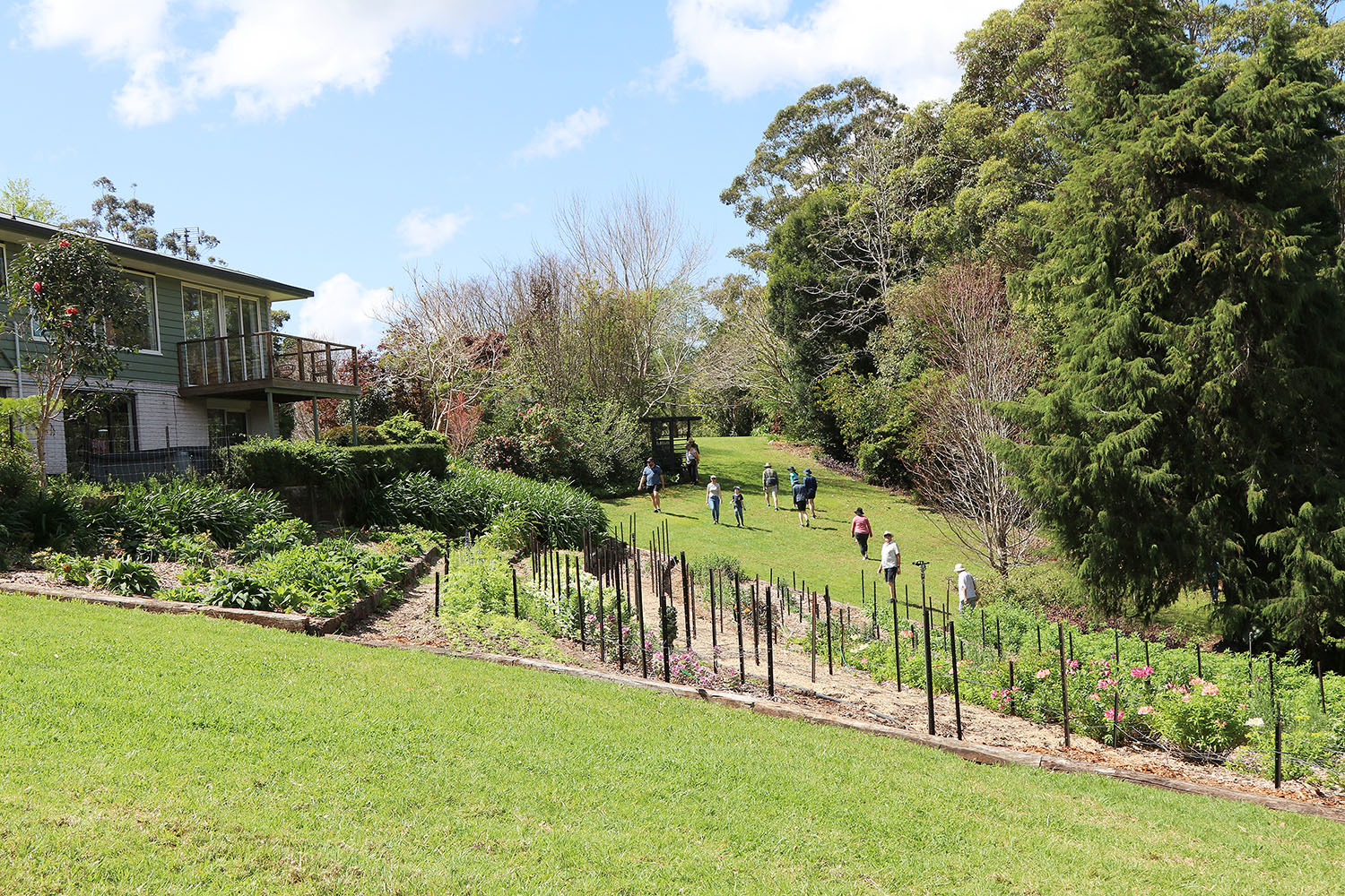 Mountain Gardens Open For Spring! - Tamborine Bulletin