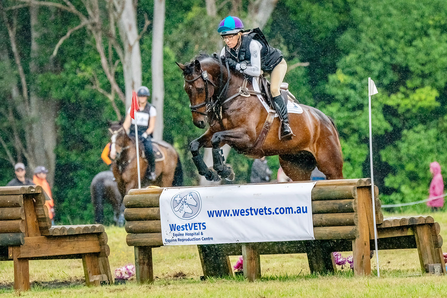 The Show Must Go On At Last! Tamborine Bulletin