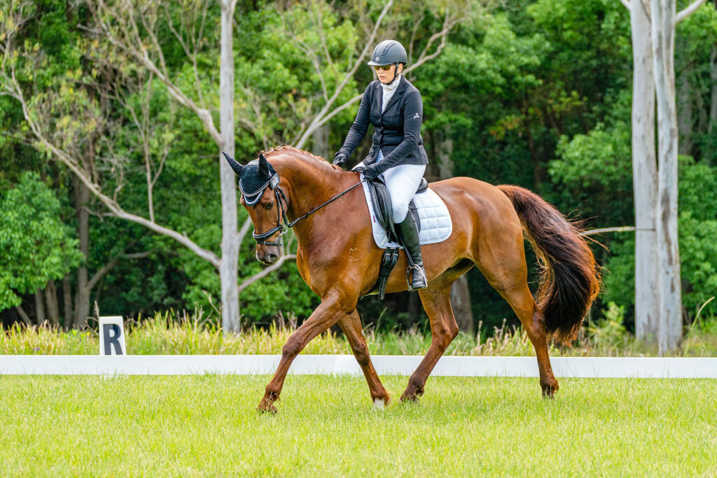 EvQ65A Winner Katrina Bull riding ‘Dicavalli Duke’ - Friday Dressage