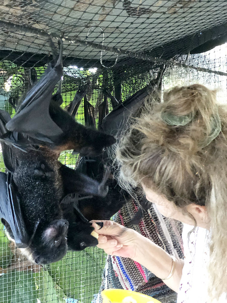 Wendy feeding a bat in her care (rag weave mat in the background)