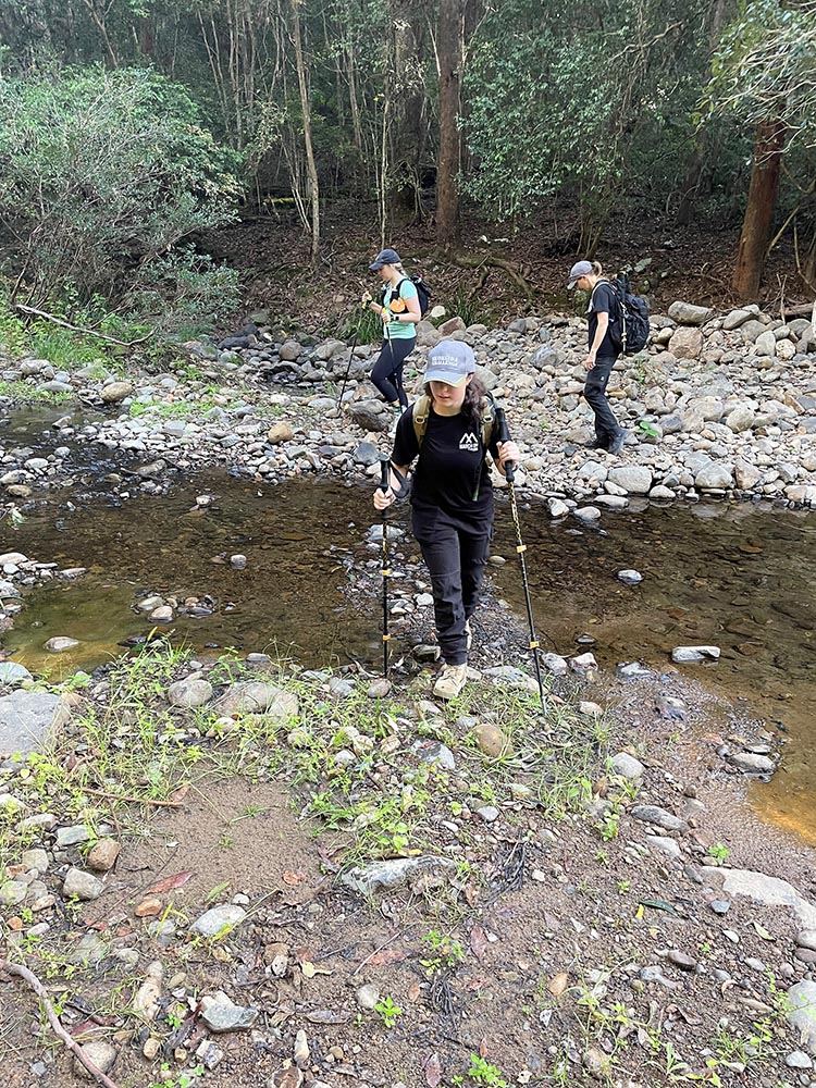 Creek Crossing